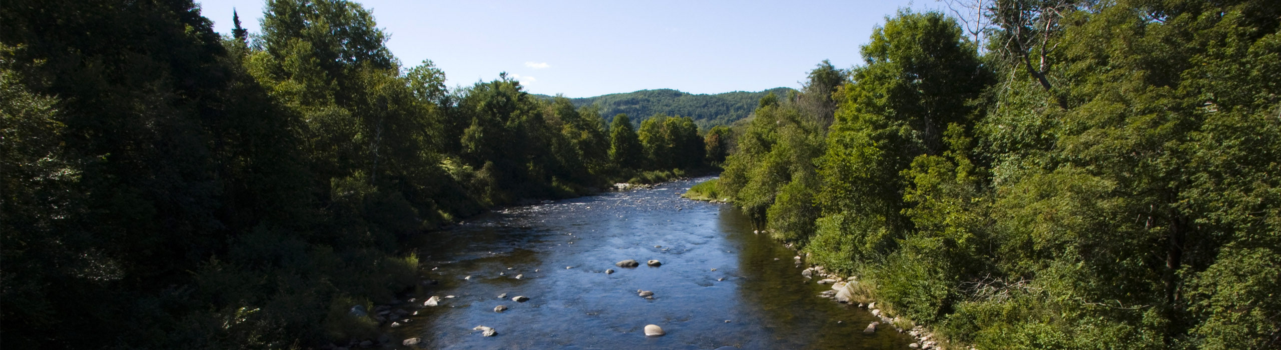 OCD New Hampshire 